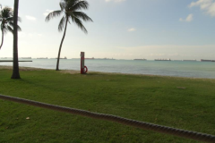Picture3