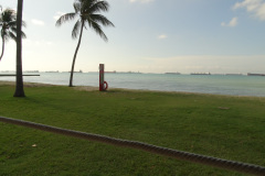 DSC03981-1